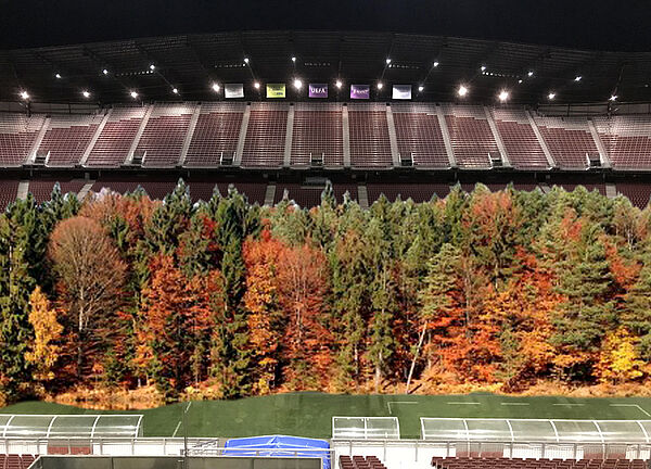 Erste Collage Stadion mit Wald noch vor der Realsierung von "For Forest"